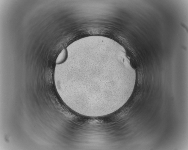 X0000101150453200807251052