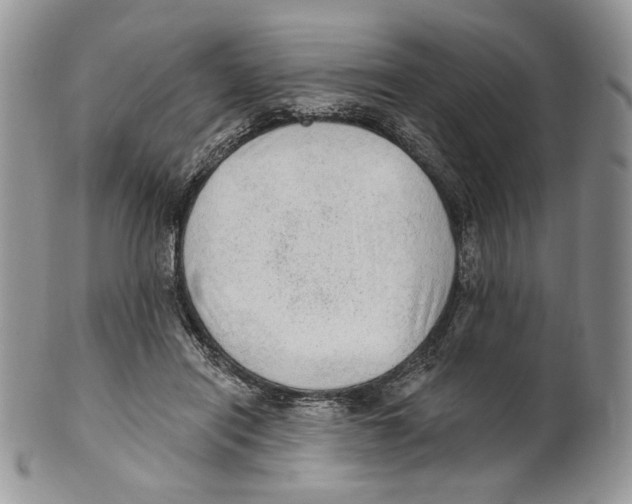 X0000101150454200807251052
