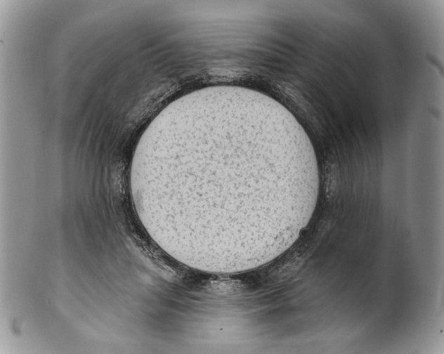 X0000101150455200807251052
