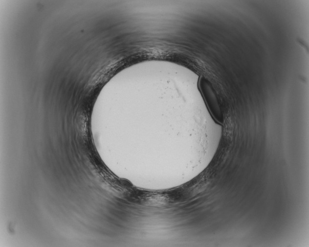 X0000101150456200807251052