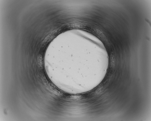 X0000101150457200807251052