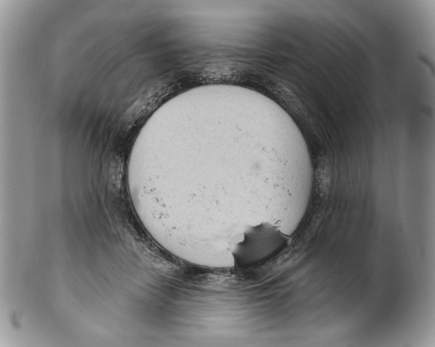 X0000101150458200807251052