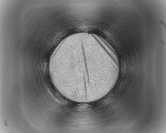 X0000101150459200807251052