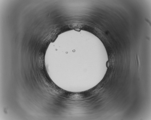 X0000101150460200807251052