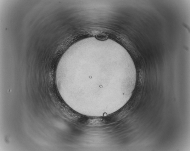 X0000101150461200807251052