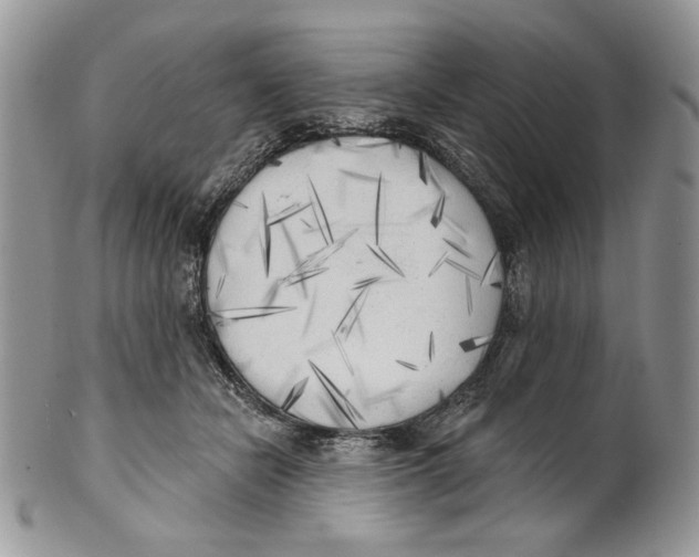 X0000101150462200807251052