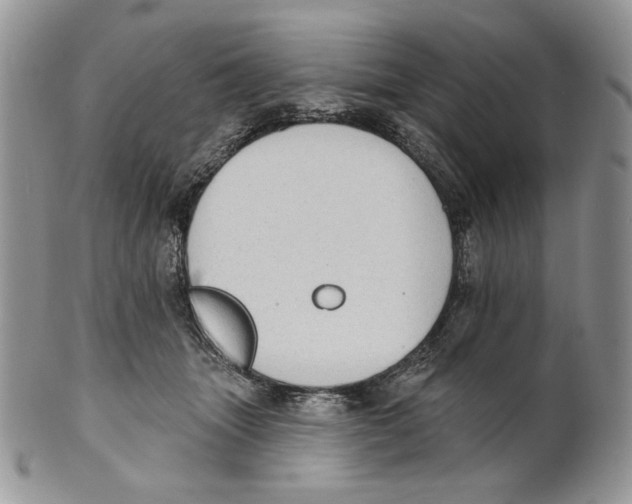 X0000101150463200807251052