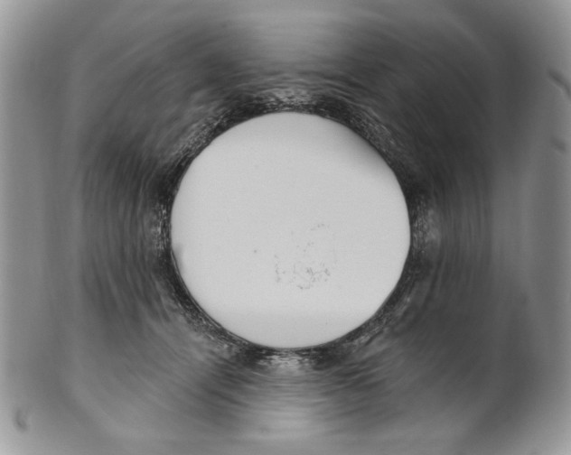 X0000101150464200807251052
