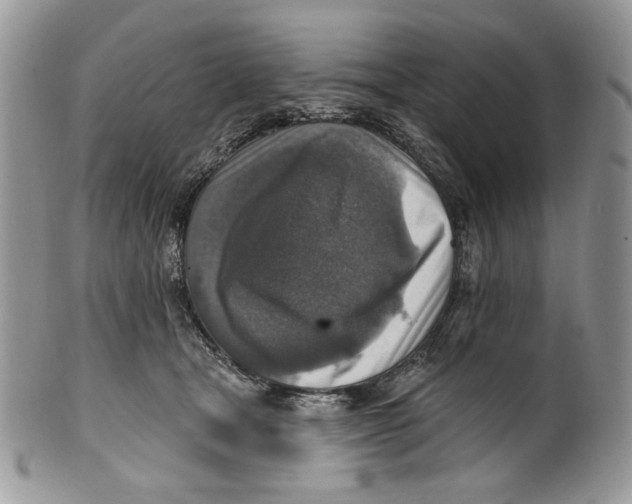 X0000101150465200807251052