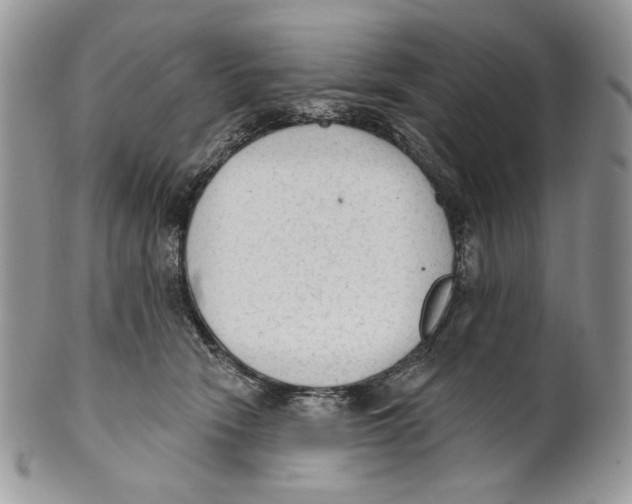 X0000101150466200807251052