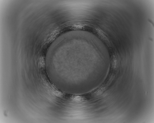 X0000101150467200807251052