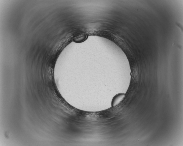 X0000101150470200807251052