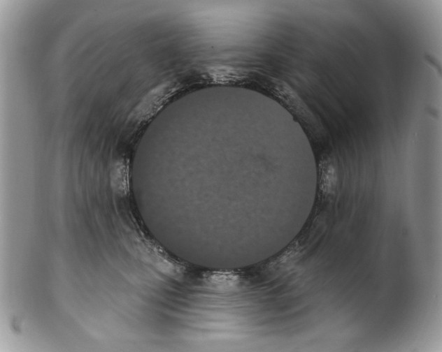 X0000101150471200807251052
