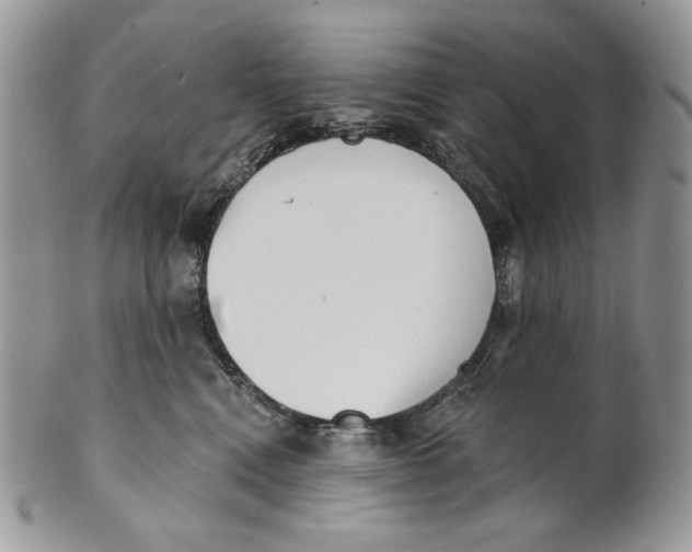 X0000101150472200807251052