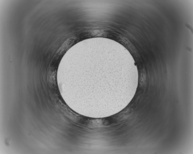 X0000101150473200807251052