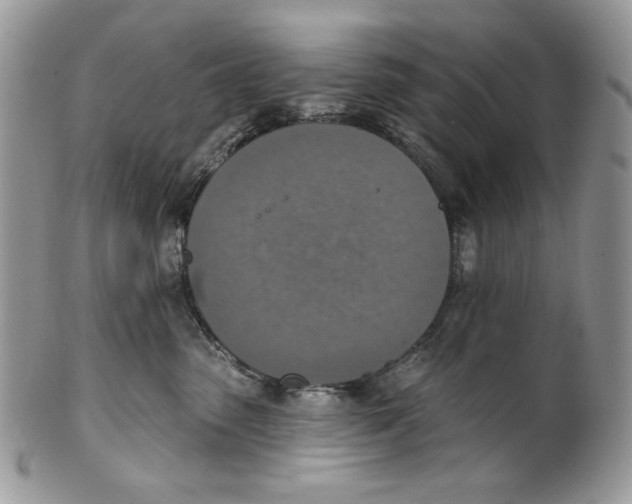 X0000101150475200807251052