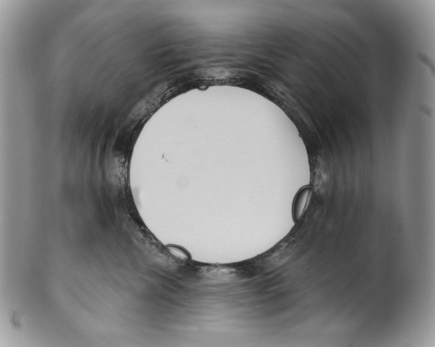 X0000101150476200807251052