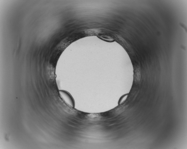X0000101150477200807251052