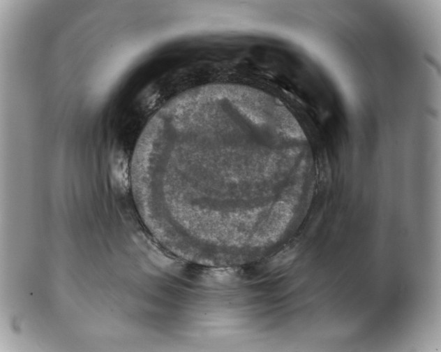 X0000101150479200807251052