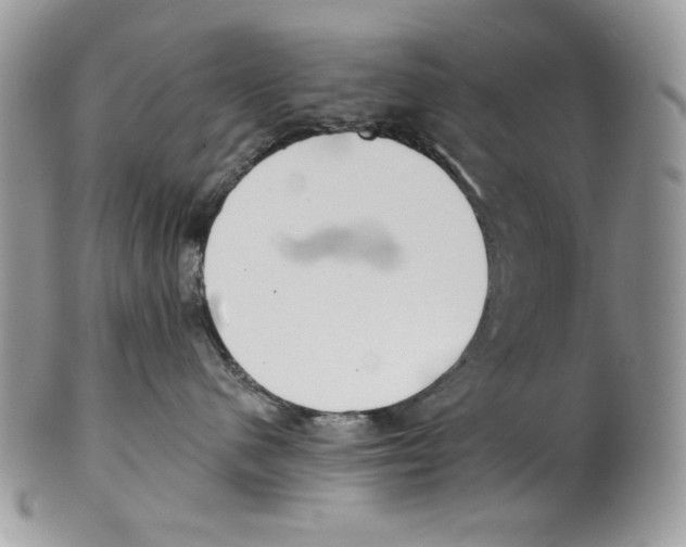 X0000101150480200807251052