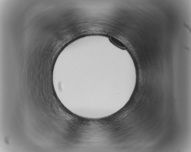 X0000101150481200807251051