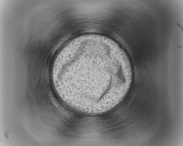 X0000101150482200807251051