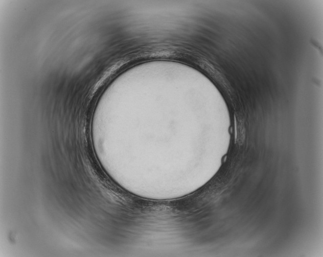 X0000101150483200807251051