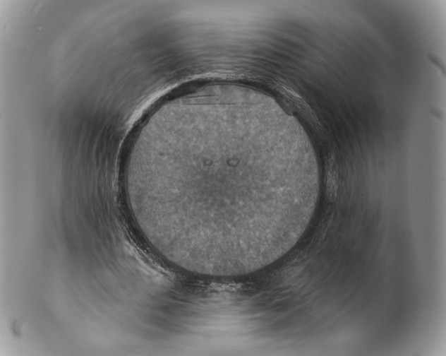 X0000101150484200807251051