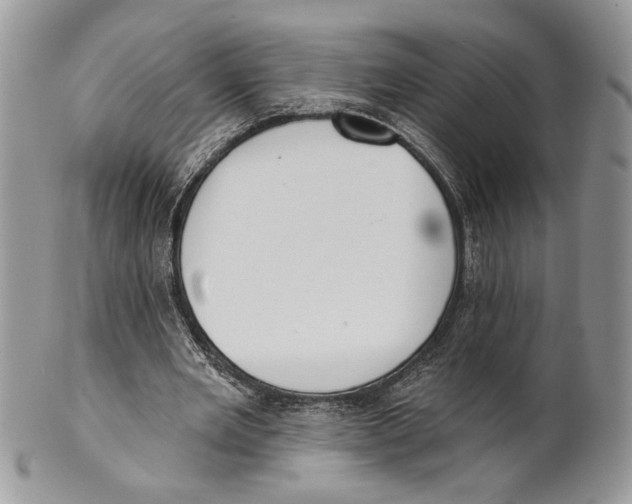 X0000101150485200807251051