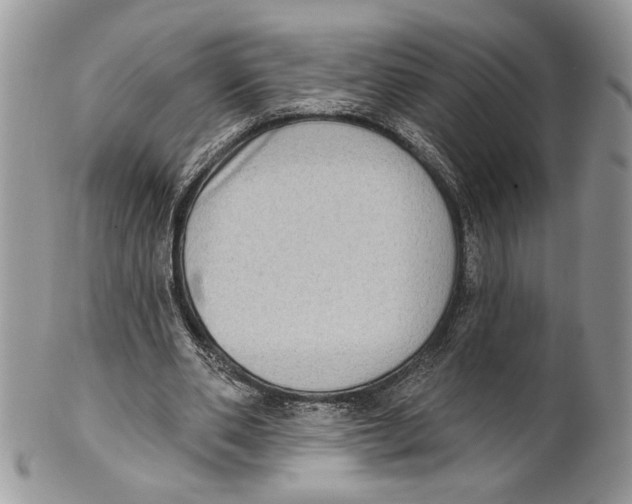 X0000101150486200807251051