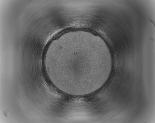 X0000101150488200807251051
