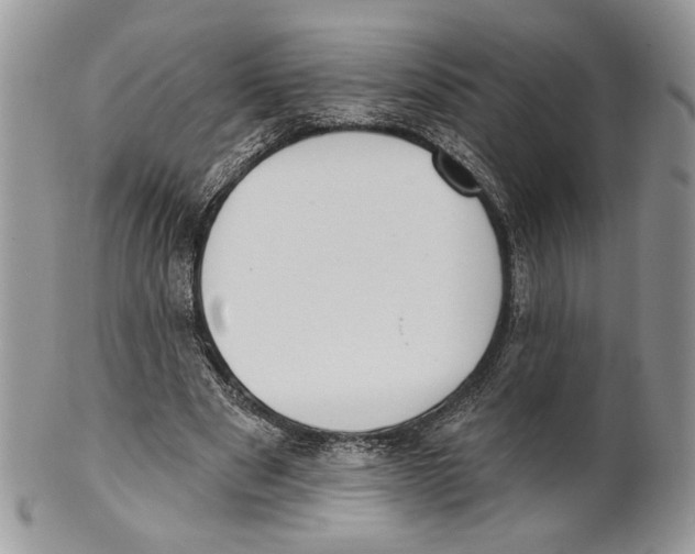 X0000101150489200807251051