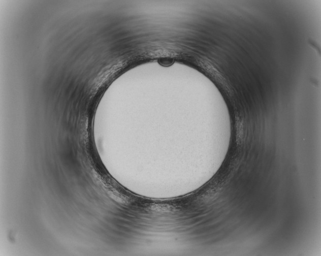 X0000101150490200807251051