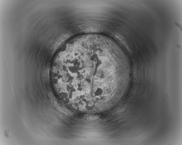 X0000101150491200807251051
