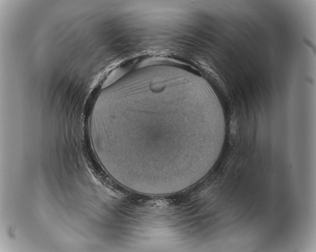 X0000101150492200807251051