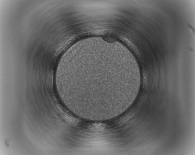X0000101150493200807251051