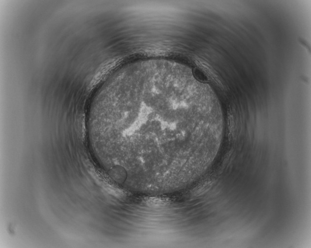 X0000101150494200807251051