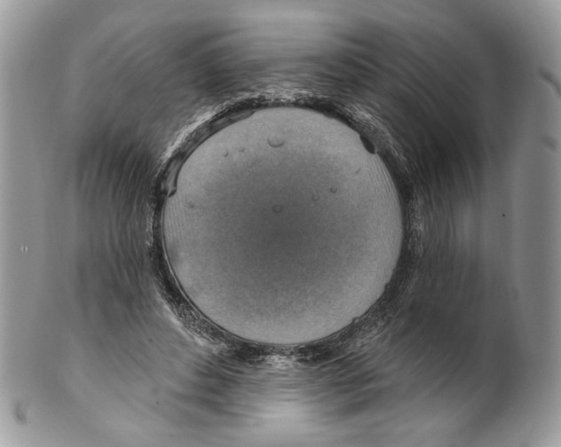 X0000101150496200807251051