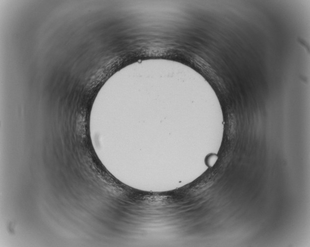 X0000101150497200807251051
