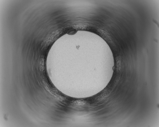 X0000101150498200807251051