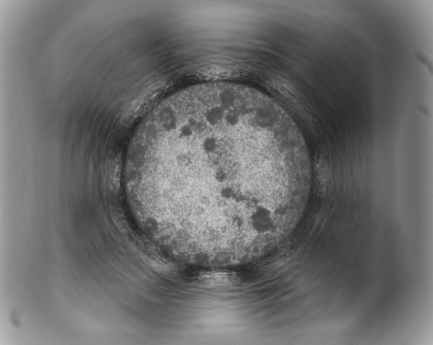 X0000101150499200807251051