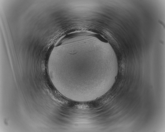X0000101150500200807251051