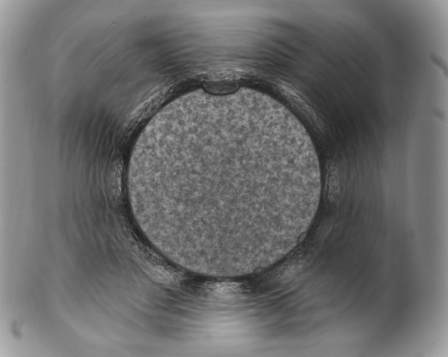 X0000101150501200807251051