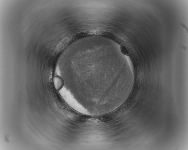 X0000101150502200807251051