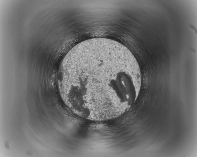 X0000101150503200807251051