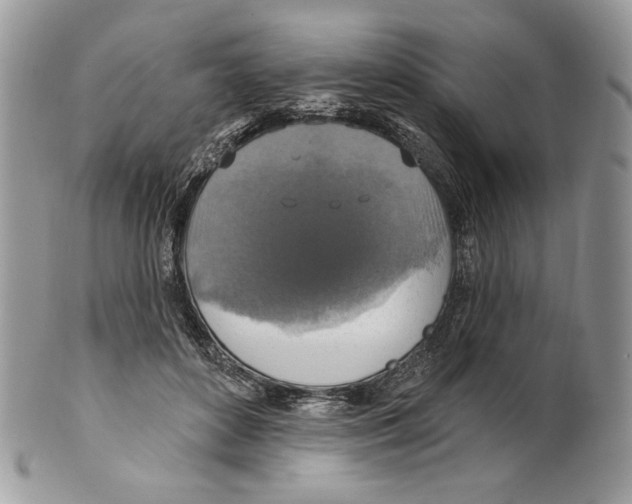 X0000101150504200807251051