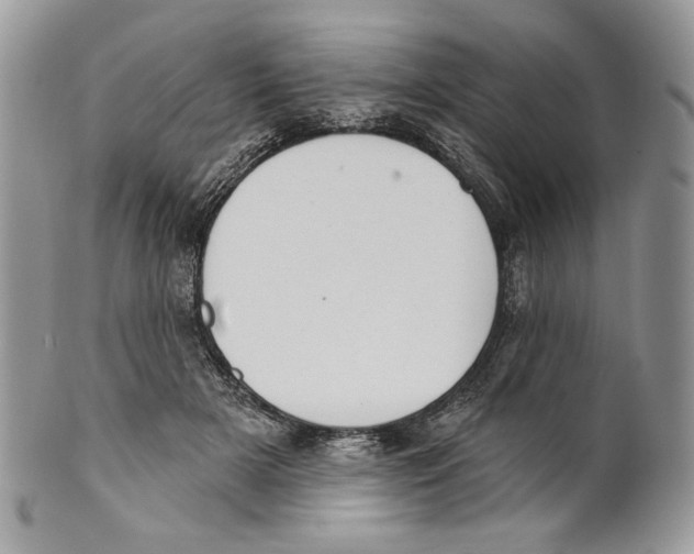 X0000101150505200807251051