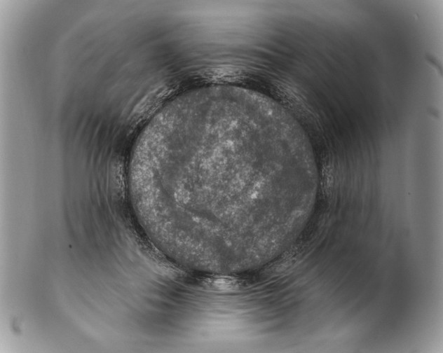 X0000101150506200807251051