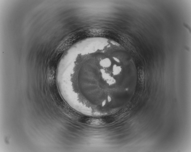 X0000101150507200807251051