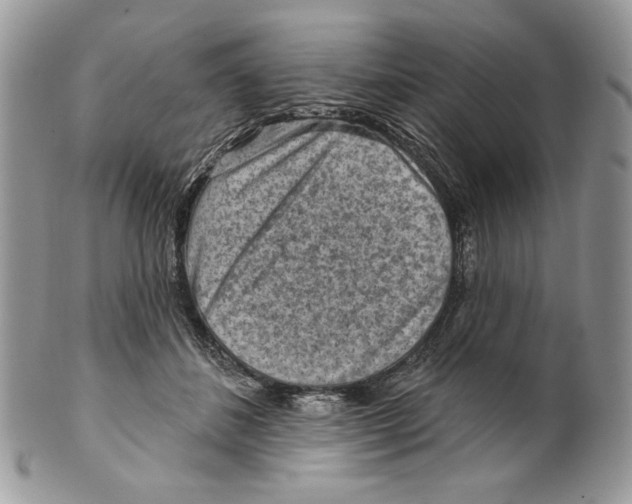 X0000101150508200807251051